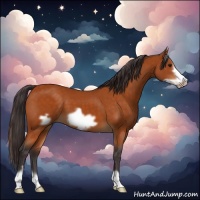 Horse Color:Buckskin Frame 