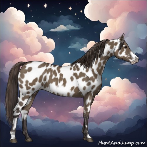 Horse Color:Smoky Grullo Frame Near Leopard