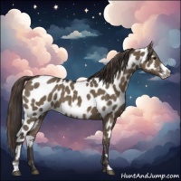Horse Color:Smoky Grullo Frame Appaloosa 