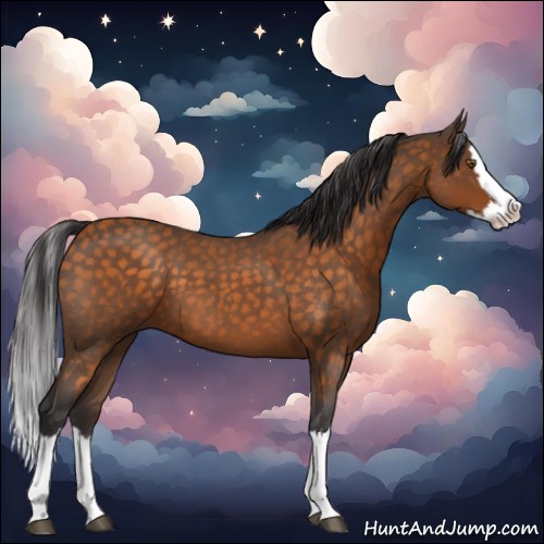 Horse Color:Buckskin Roan Splash 