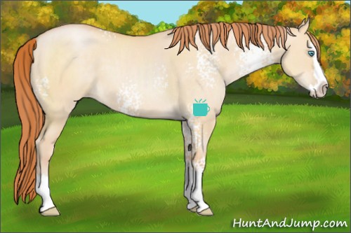 Horse Color:White Spotted Buckskin Pearl Dun Sabino Splash 
