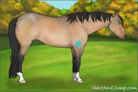 Horse Color:Brown Dun 