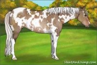 Horse Color:White Spotted Silver Brown Dun Tobiano Rabicano 
