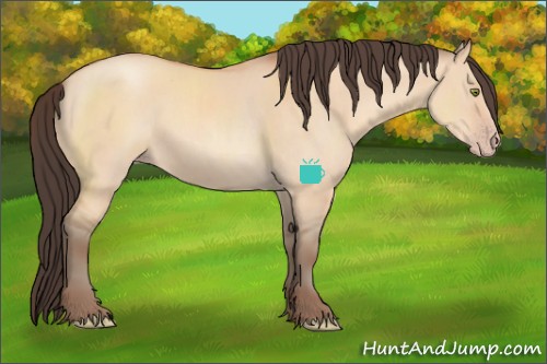 Horse Color:Sable Champagne Dun Sabino 