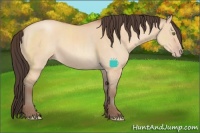 Horse Color:Sable Champagne Dun Sabino 