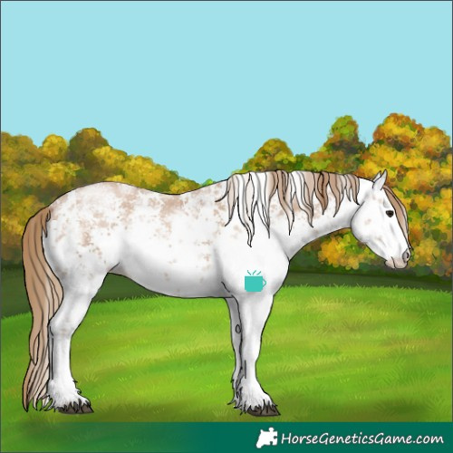 Horse Color:White Spotted Black Pearl Sabino 
