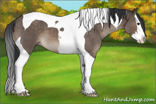 Horse Color:Brown Roan Dun Splash Tobiano 