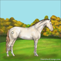 Horse Color:White Spotted Classic Champagne Pearl Dun Sabino 