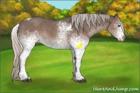 Horse Color:White Spotted Silver Black Splash Tobiano Varnish Rabicano 