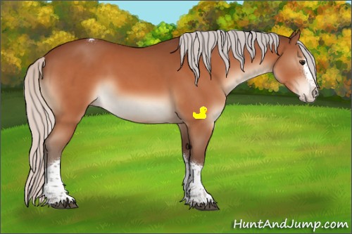 Horse Color:Silver Bay Splash Tobiano Rabicano