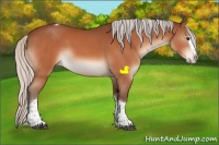 Horse Color:Silver Bay Splash Tobiano Rabicano