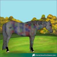 Horse Color:Nacre Black 