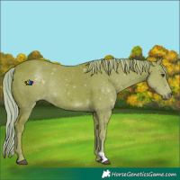 Horse Color:Watercolor Chestnut Rabicano 