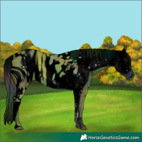 Horse Color:ERROR: UNKNOWN ANOMALY