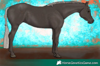 Horse Color:Silver Black 