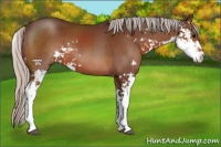 Horse Color:Silver Brown Sabino 