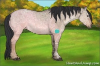 Horse Color:Brown Ice Dun Sabino
