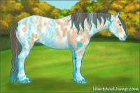 Horse Color:Thunderstruck Chocolate Sable Cream Champagne Ice Sabino Appaloosa Rabicano 