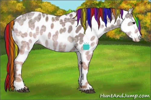 Horse Color:Painted Chocolate Grullo Ice Sabino Appaloosa Rabicano 