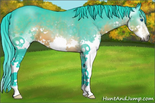 Horse Color:Gray Watercolor Brown Splash