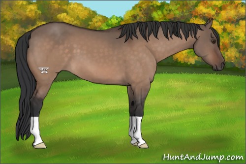 Horse Color:Brown Dun Mushroom 