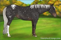 Horse Color:Liver Chestnut Mushroom Snowflake Varnish 