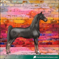 Horse Color:Liver Chestnut Mushroom 