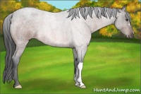 Horse Color:Brown Roan Mushroom 