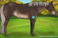 Horse Color:Silver Brown 