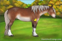Horse Color:Silver Bay Tobiano Rabicano