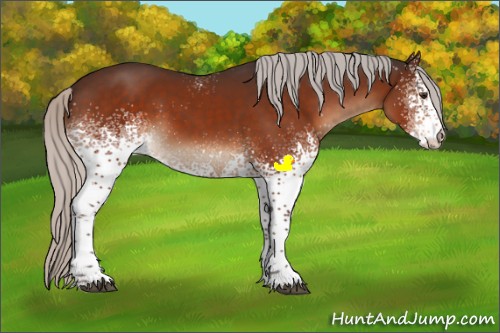 Horse Color:White Spotted Silver Brown Tobiano 