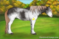 Horse Color:White Spotted Liver Chestnut Tobiano 