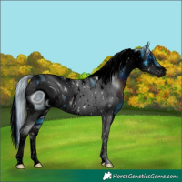 Horse Color:ERROR: UNKNOWN ANOMALY