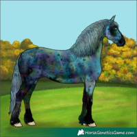 Horse Color:ERROR: UNKNOWN ANOMALY