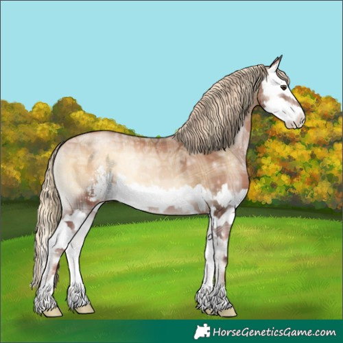 Horse Color:Plaid Liver Red Onyx Ice Pearl Sabino Splash