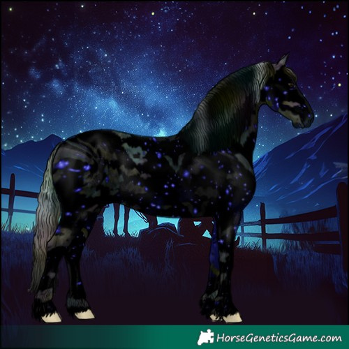 Horse Color:ERROR: UNKNOWN ANOMALY