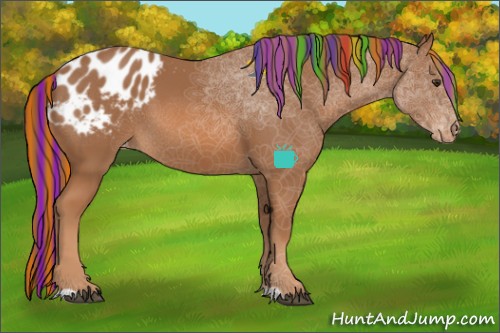 Horse Color:Painted Chestnut Sabino Blanket 