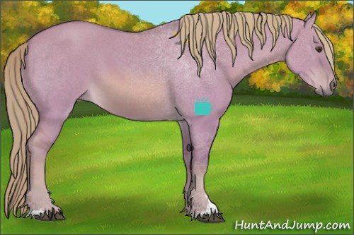 Horse Color:Watercolor Red Dun Sabino 