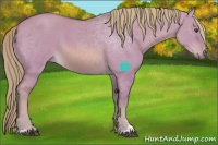 Horse Color:Watercolor Red Dun Sabino