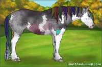 Horse Color:Painted Brown Sabino Splash 