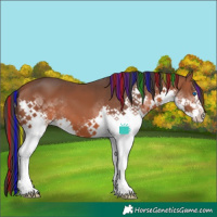 Horse Color:Painted White Spotted Bay Splash 