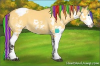Horse Color:Painted Buckskin Sabino Splash Snowcap