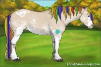 Horse Color:Painted Bay Dun Sabino Splash Appaloosa 