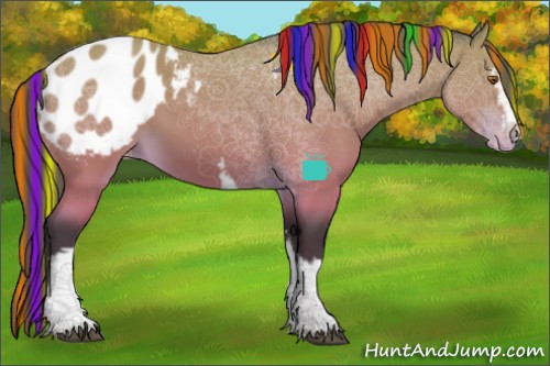 Horse Color:Painted White Spotted Buckskin Blanket