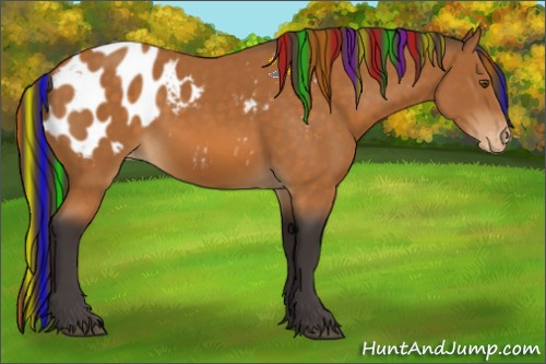 Horse Color:Painted Buckskin Sabino Blanket 