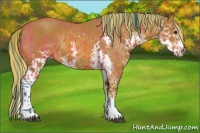 Horse Color:Watercolor White Spotted Bay  and Painted Chestnut Sabino Splash 