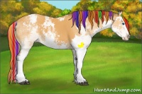 Horse Color:Painted Buckskin Sabino Splash Appaloosa 