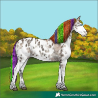 Horse Color:Painted White Spotted Chocolate Blue Onyx Ice Pearl Sabino Splash Varnish Brindle 