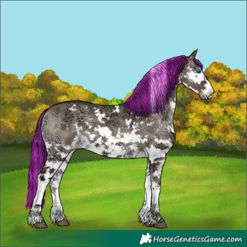 Horse Color:Painted White Spotted Grullo Ice Onyx Sabino Splash 