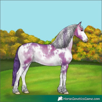 Horse Color:Platinum Watercolor White Spotted Chocolate Brown Onyx 